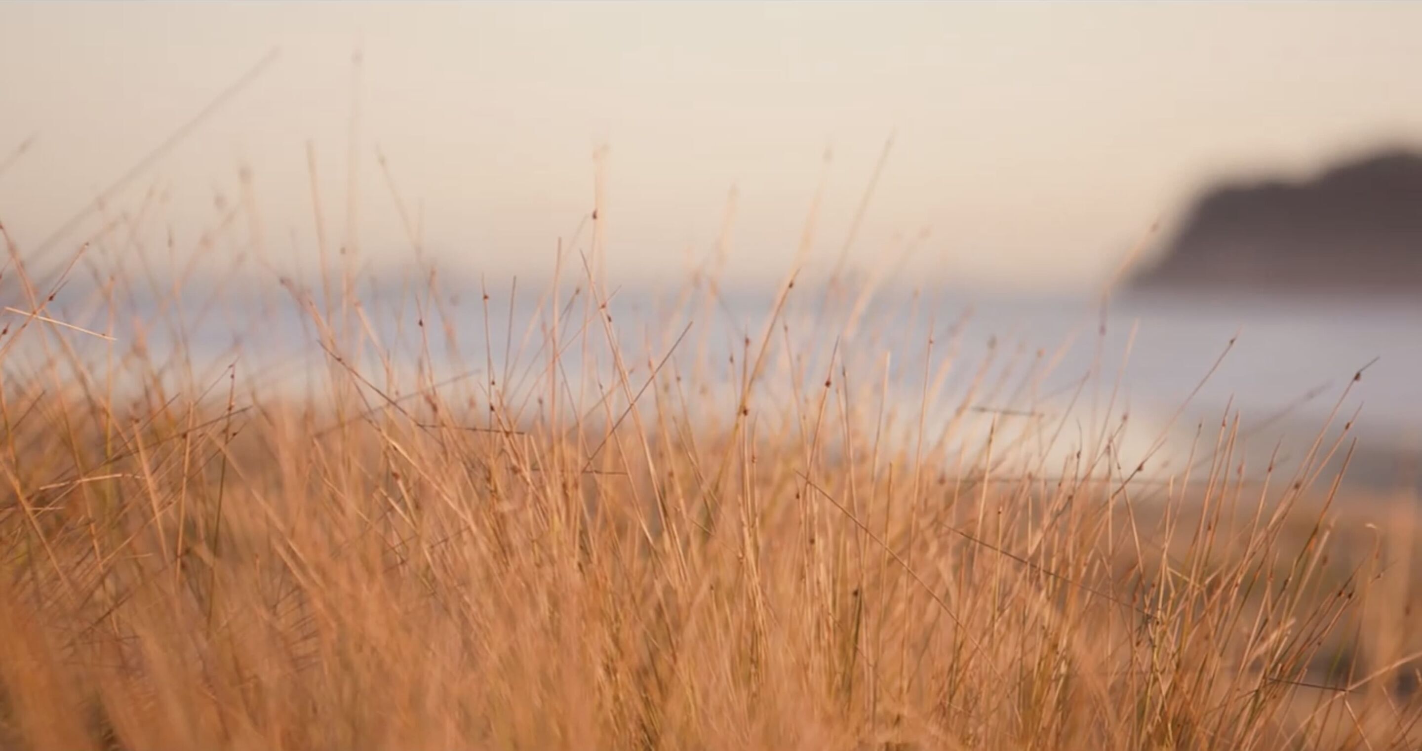 Sustainable Retirement Living